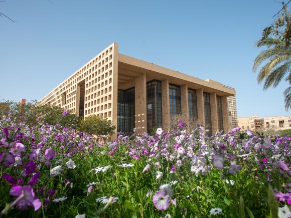 Flowers and building