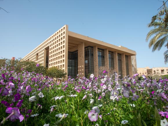 About| The American University in Cairo