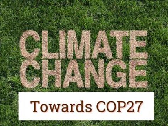 Greenery with the words Climate Change towards COP27