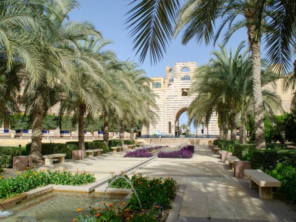 New Cairo Campus garden