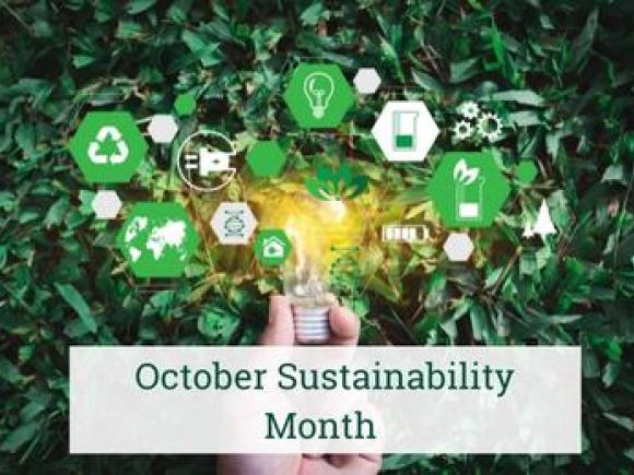 October Sustainability Month, a hand holding a bulb with a greenery background