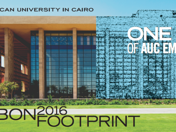 carbon footprint brochure 2016
