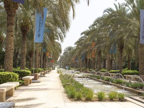 View of a water fountain and trees and benches on the side