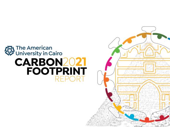 carbon footprint report 2021