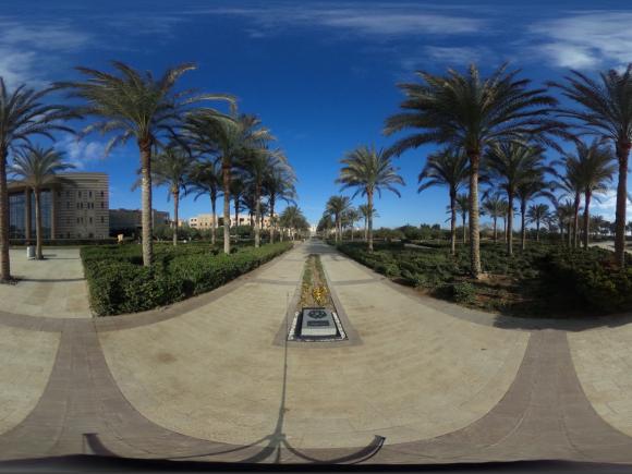 The corridor in front of the AUC portal with fountain and palms