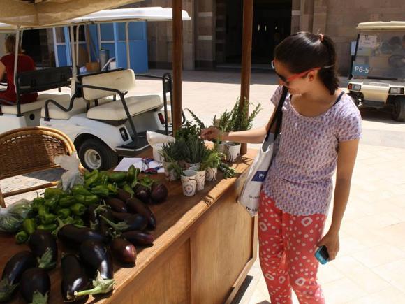 rachel_farmersmarket.jpg AUC's Sustainable Campus Day and Farmer's Market invites the University and local communities to learn about green initiative