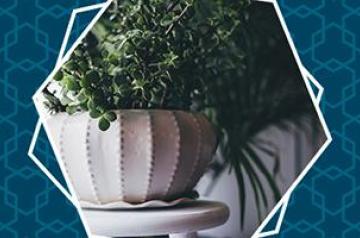 home-accessories