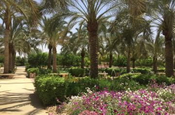 garden1