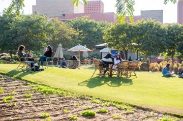 Grove with Seating Area AUC