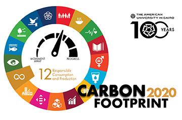 carbon-footprint-report-2020
