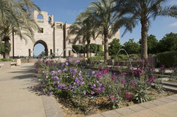 AUC Buildings