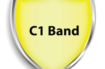 Arabic language C1