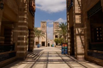 Photo of campus with buildings and palm trees