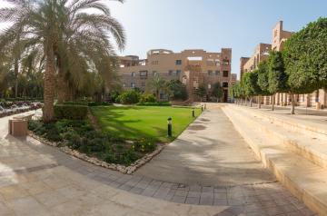 Greenery