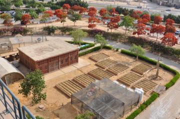 Aerial view of CARES