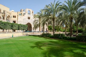 AUC Campus Building and greenery