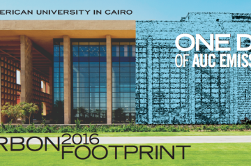 Publications | The American University in Cairo