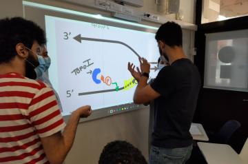 clt - active learning