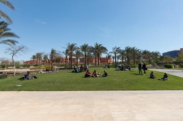 AUC New Cairo Campus - Garden and Residence View 8ds_7501-2000px_w.jpg AUC New Cairo Campus - Garden and Residence View