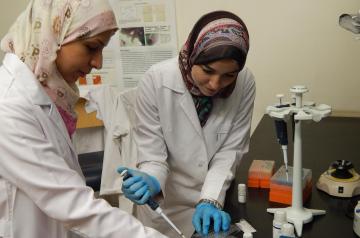 Students Laila Ziko and Nancy El-Baz work together on innovative research aimed at improving breast cancer treatments