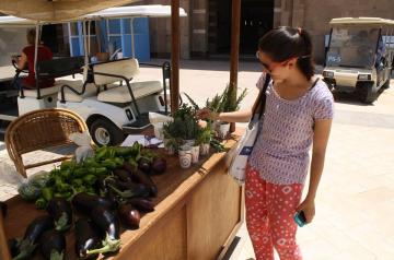 AUC's Sustainable Campus Day and Farmer's Market invites the University and local communities to learn about green initiative