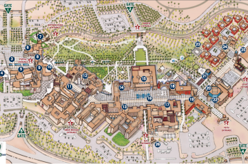 الجامعة الأمريكية بالقاهرة The American University In Cairo