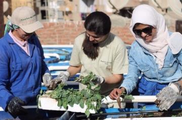 unnamed_4_2.jpg Volunteers planting a rooftop garden in Fayoum.