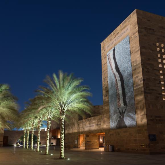 palms at night