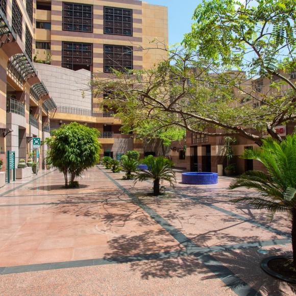 Courtyard with trees