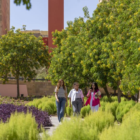 Three female students walking and talking in the garden.