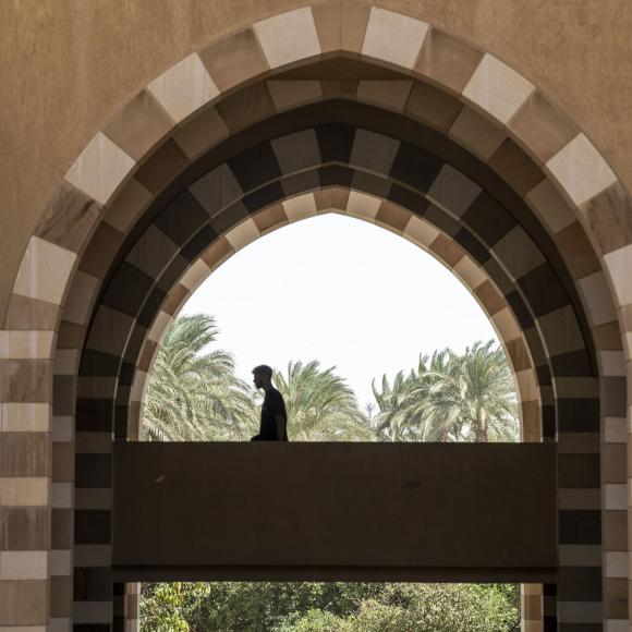 arches of AUC