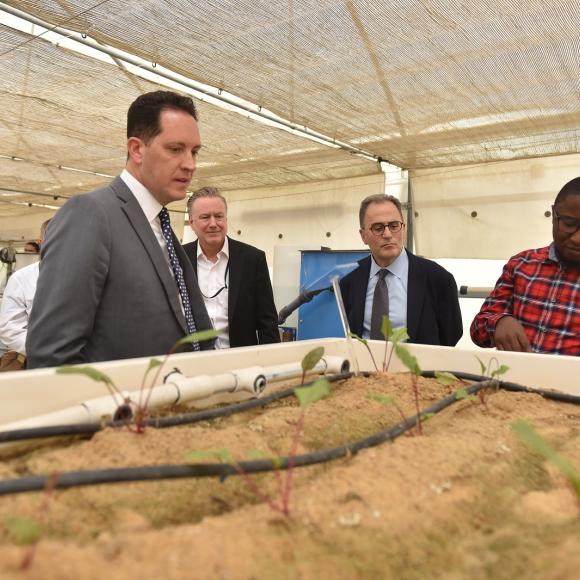 Men looking at a planted basin