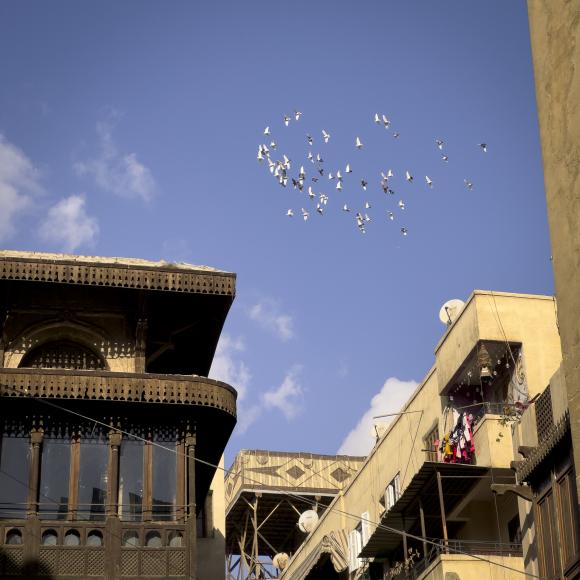 Birds fly above tan buildings