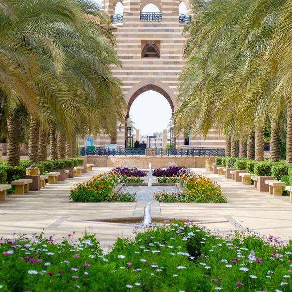 auc portal