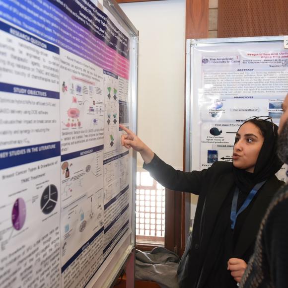 A female is explaining the contents on a board to a male