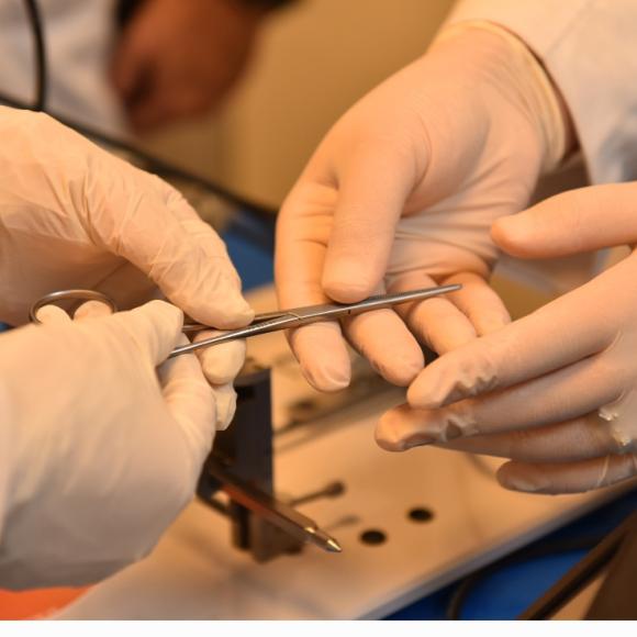 two people's hands with white gloves doing a experiment in a lab