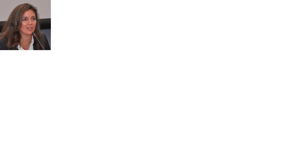 untitled.png